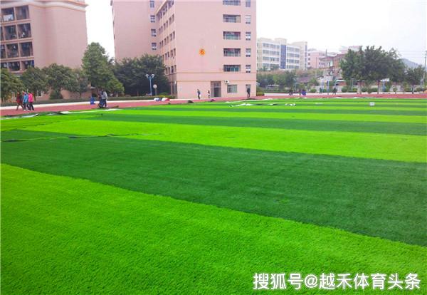  昂热主场草皮质量遭质疑，足协将介入调查